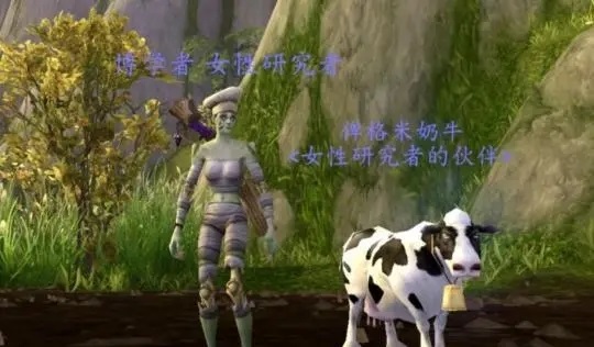 亚服投入与国服回归：玩家抉择之际